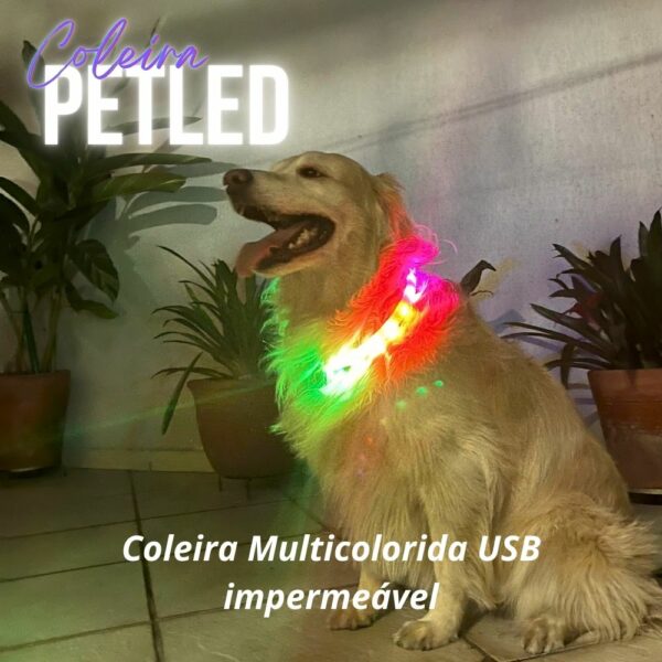 Coleira Petled