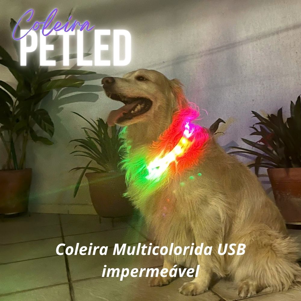 Coleira Petled