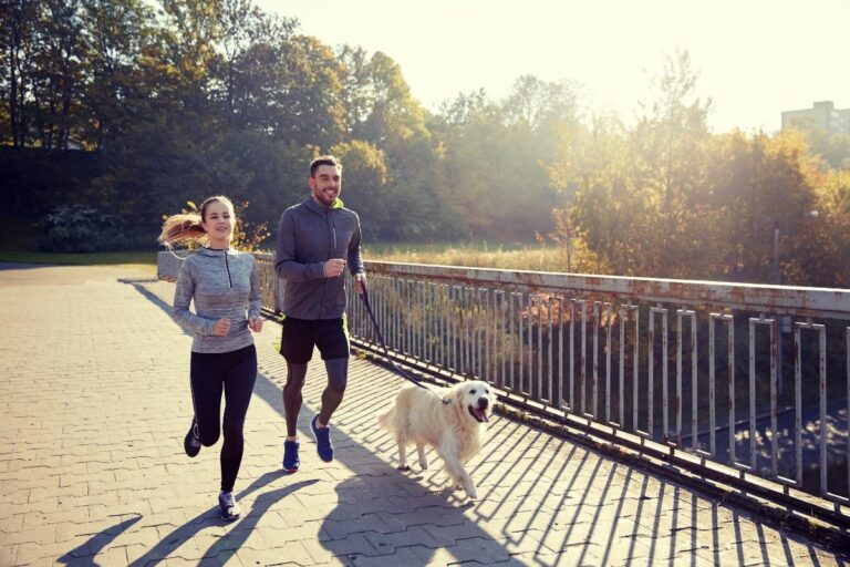 Corrida - Esportes para cães