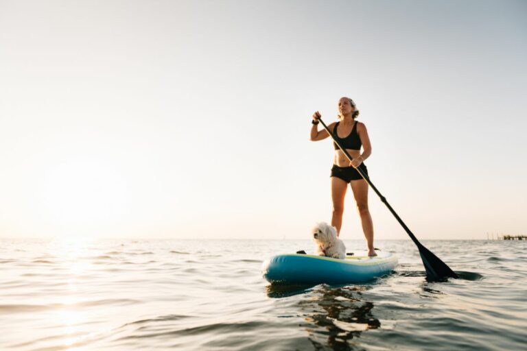 Stand Up Paddle - Esportes para cães