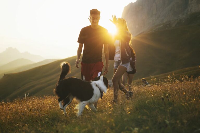 hiking com cães - hiking com cães