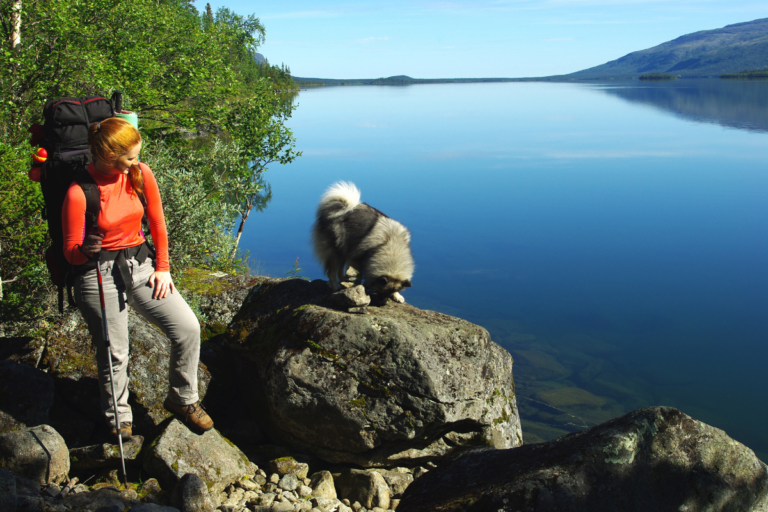 Trekking com Cães