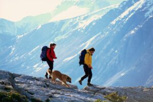 Trekking com Cães