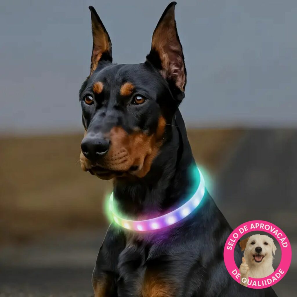 Coleira LED recarregável