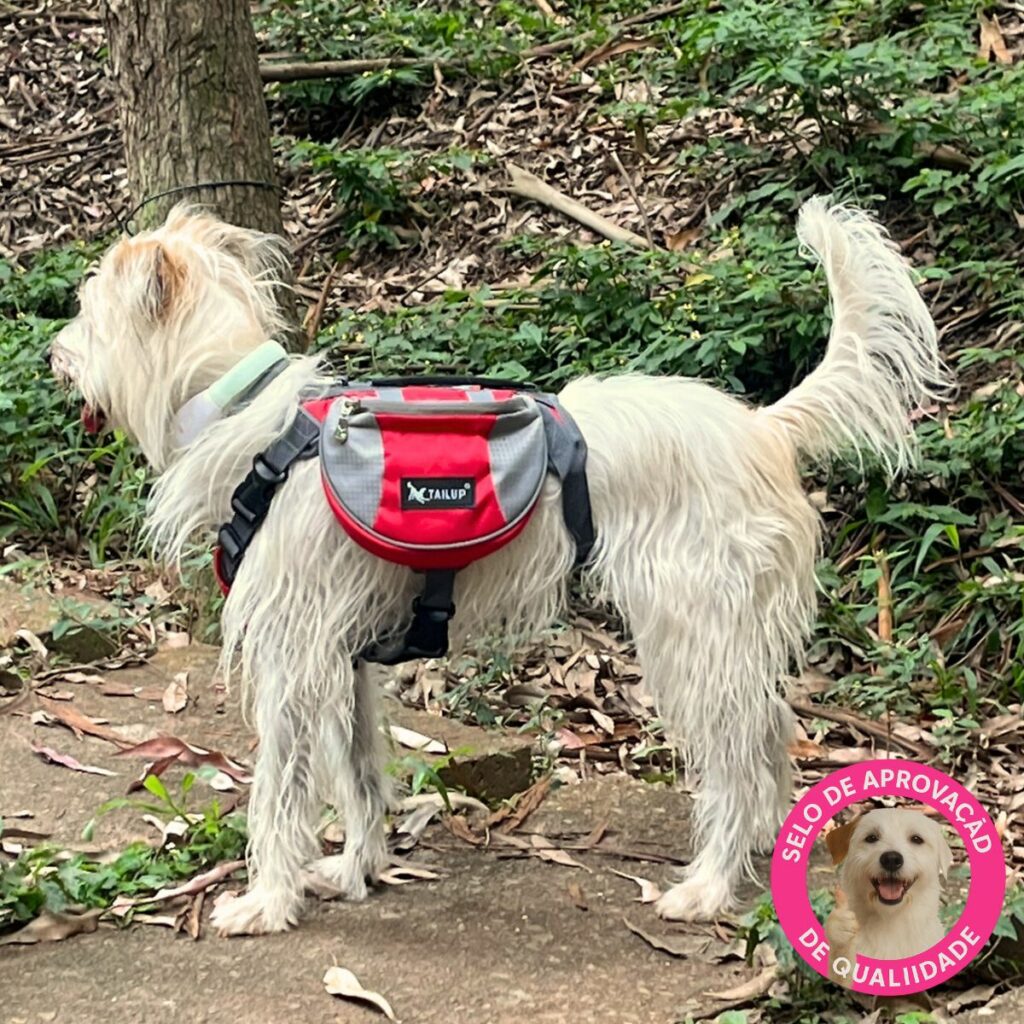 Mochila trekking para cães