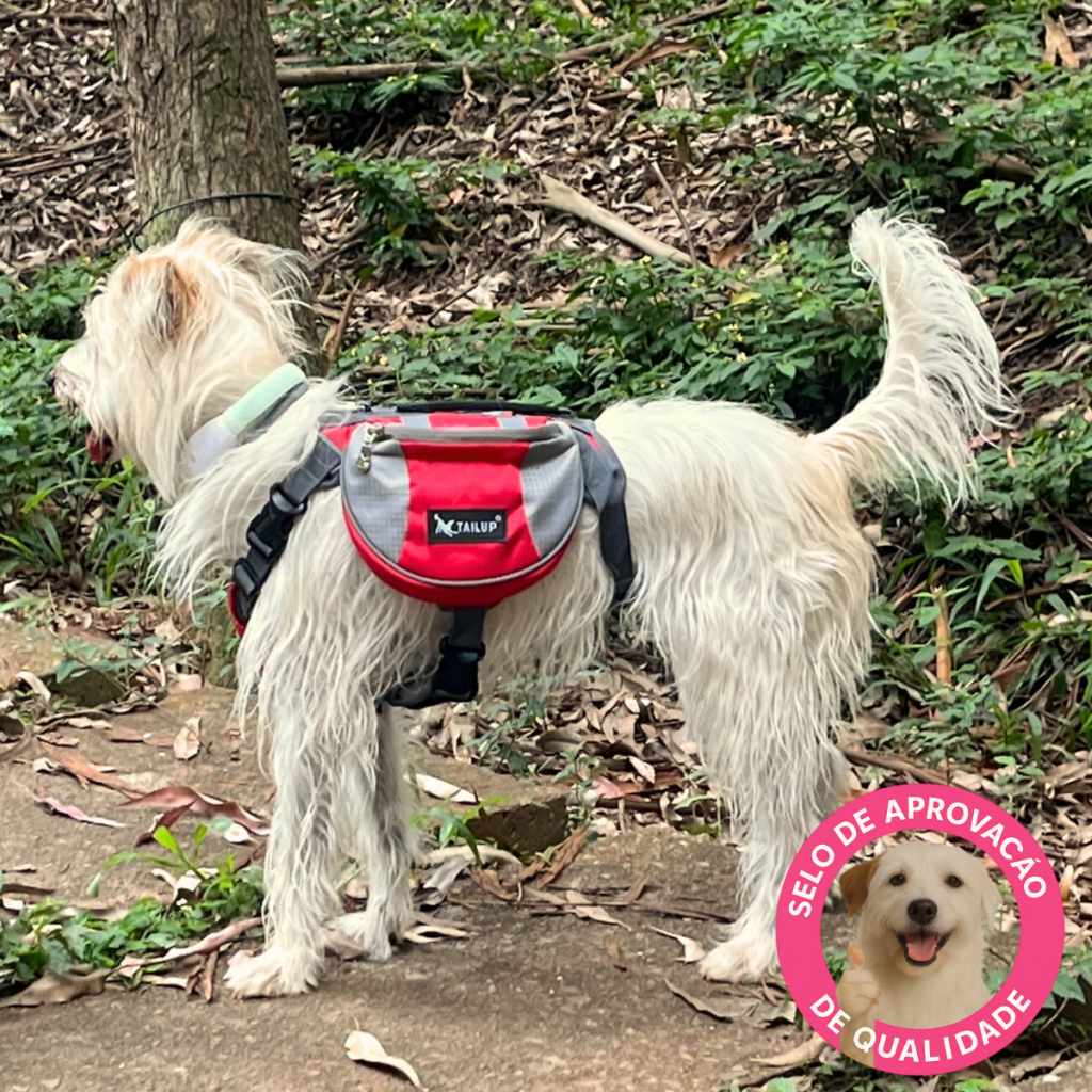 Mochila trekking para cães