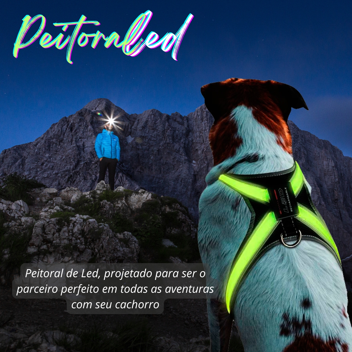 Peitoral Led para cães
